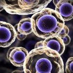 cellulepigenetica-720x480