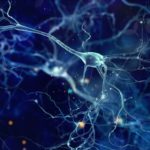 neuron-featured-image-1920