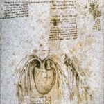 0a99447d-5c27-4104-b152-80e90ba1cf1e