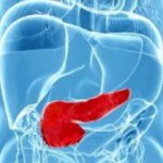 123707260-529ba19d-a09e-46ec-97fe-ec99217fc5cd