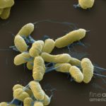 8e138103af6c4ccbb596b5437daa5c01