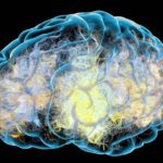 brain-mysteries-neurosicneews
