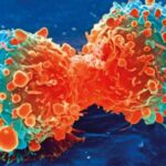 cellulacancrocov-1200x1200