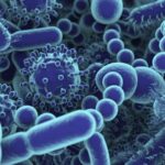 145547530-3a28043d-d564-4254-b904-a475cd89c84e