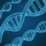 1502877576_dna