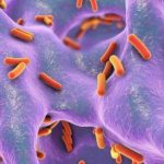 234509782-3434fb7b-44ba-4892-b8dc-cf0367f7a5d7