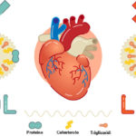 colesterolo-640