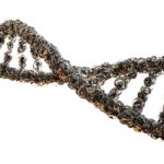 genetics-cognitive-decline-neurosicnews-public