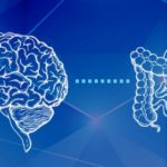 intestino-cervello-come-sono-collegati (1)