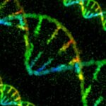 mutazioni-genetiche-cancro