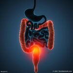 01dd6b773c330e4af50297540c7ee7b5_XL