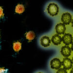 091820_TI_flu_feat-1028x579