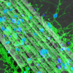 092420_ls_brain-bots_feat-1028x579