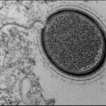 161827210-09e3c61f-69cc-4aa7-920f-58cdd9ee074d