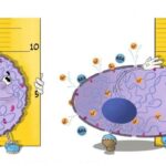 2-howcancercel