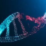 DNA-damage.jpg_1109555704