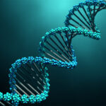 DNA molecules