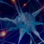 assistenza-neurologico-pallium-onlus-825x510