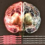 card2a-kt0F-U43380758039773vNG-593x443@Corriere-Web-Sezioni