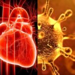 coronavirus_cuore