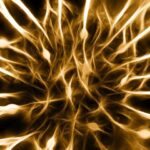 nervecell