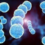 scarlattina-gravidanza_NG1