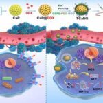 testcancro