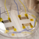 xiaoyundinglab-4_banner
