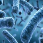 1559578200448_batterio-1200x545_c