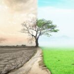 5cc21d88240000320038ac28