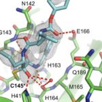 75-studyreveals