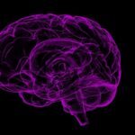 brain-1787622-1920