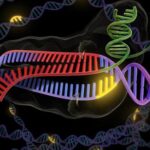 crispr-cas9-ingegneria-genetica-10