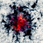 d41586-018-04930-7_15713080