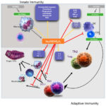 nutrients-12-02879-g001-550