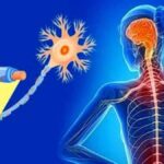 sclerosi-multipla-cause-1124x675