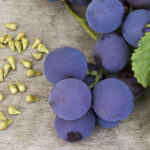 semi-di-uva-benefici