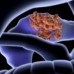 tuore-pancreas-1200x1200