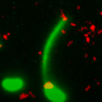 133345842-2f19e522-ccd4-4e75-8a40-3a7febf963b0