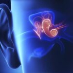 153114461-3faf17a1-40b4-4387-b8d1-cb69dd78dcf8