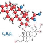 3707d8f2be163bd14c78cf07586f13bb_XL