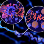 alzheimer-tau_thumb_720_480