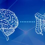 asse-intestino-cervello