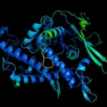 d41586-020-03348-4_18633160