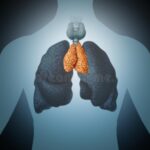 organo-umano-del-timo-anatomia-dell-e-della-ghiandola-con-i-polmoni-la-tiroide-uno-stile-illustrazione-d-142311982