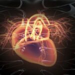 stenosi-aortica-bicuspide-e-sostituzione-della-valvola-transcatetere-buoni-risultati-con-i-nuovi-dispositivi