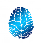 brain-2836401_960_720