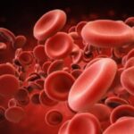 globuli-rossi-nuovo-metodo-per-la-produzione-in-laboratorio (1)