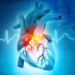 heart_anatomy_and_rhythm_smaller_gettyimages-1205212219_002