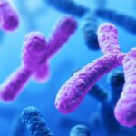 per-assoluto-sequenziato-completamente-cromosoma-umano-v3-458240